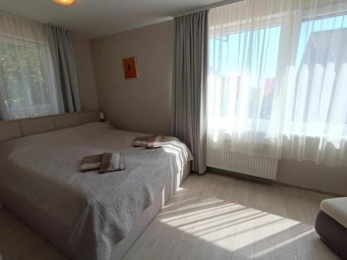 Postelja oz. postelje v sobi nastanitve Audringa