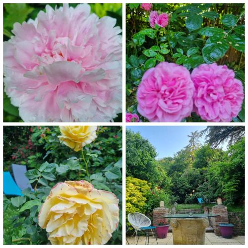 a group of four different flowers in four pictures at Suite de charme avec JACUZZI illimité et jardin privatif in Saint-Prix