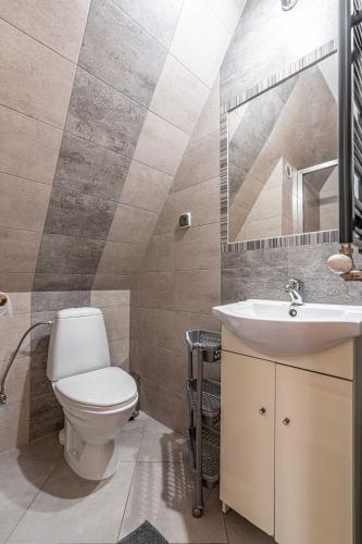 a bathroom with a toilet and a sink at Willa Tatra House in Zakopane