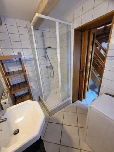 une salle de bain avec douche et lavabo dans l'établissement Gîte nature 6 personnes, à Rimbach-près-Guebwiller