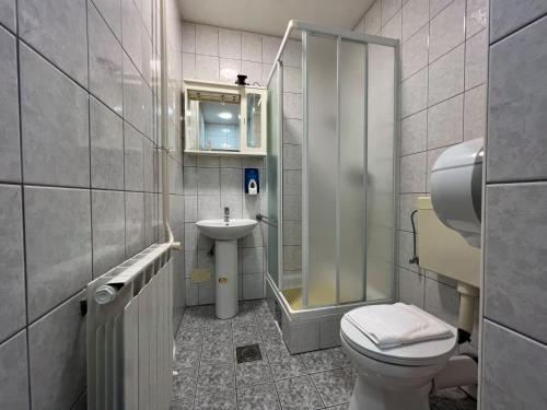 a bathroom with a toilet and a sink at Rijeka Budget Rooms in Rijeka