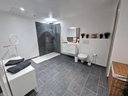 une salle de bain avec une douche, des toilettes et un lavabo dans l'établissement la chambre 8, à Saint-Martin-du-Var