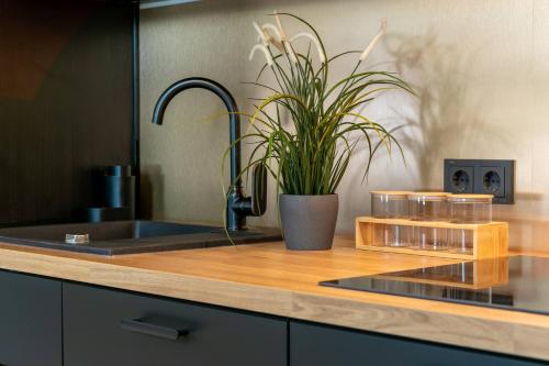 a kitchen counter with a sink and a potted plant at Ringi Apartments in Pärnu