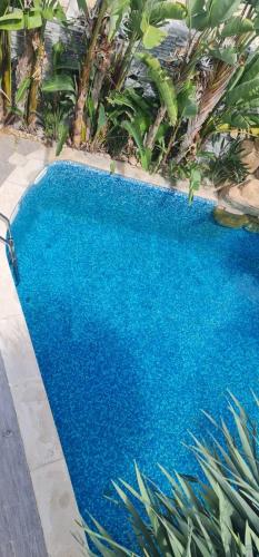 a large blue swimming pool in a yard at Villa Magnifique M9 in Tunis