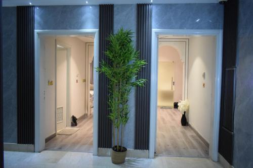 a hallway with a potted plant in a room at Saraya Corniche Hotel in Doha