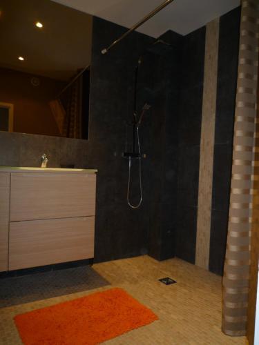 une salle de bain avec douche et lavabo dans l'établissement Bel appartement 80m2 vue sur mer, à La Ciotat