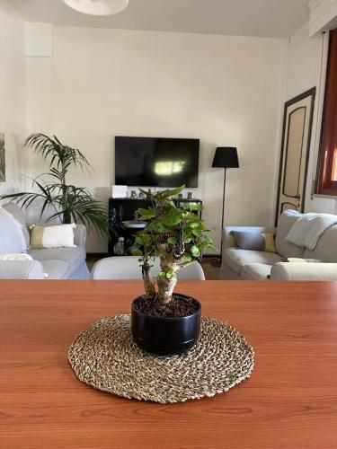 a potted plant sitting on a table in a living room at Villa Ada in Francavilla al Mare