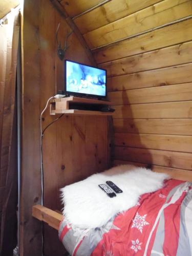 TV a/nebo společenská místnost v ubytování Tonneau Col de la Faucille