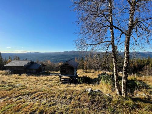 an old cabin in a field with a tree at Thorpeset cabin by Norgesbooking - cabin with amazing view in Uvdal