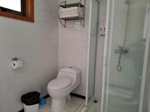 a bathroom with a toilet and a glass shower at Cabanas Mapulauquen in Pucará