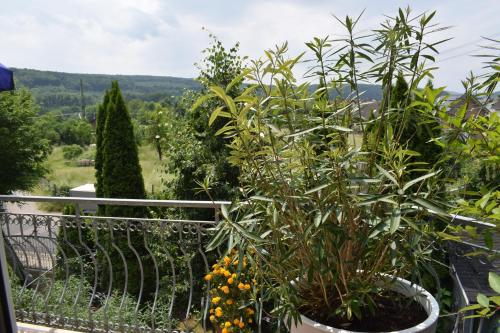 a garden with plants in pots on a balcony at Ferienwohnung Ahrtalblick in Sinzig