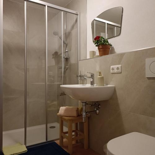 a bathroom with a sink and a shower at Michls Hoamat Dreibettzimmer in Sölden