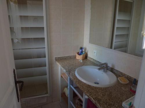 une salle de bain avec un lavabo et un miroir dans l'établissement Bandol appartement classé 2 étoiles, à La Celle-sous-Gouzon