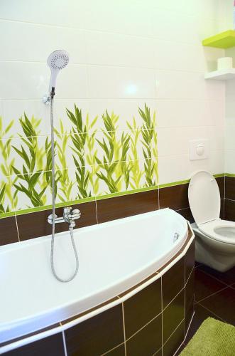 a bathroom with a bath tub and a toilet at Penzion Pod Boubínem in Kubova Huť