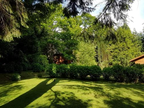 a yard with trees and bushes and a house at Cabanas Mapulauquen in Pucará