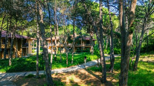 a house in the middle of a forest of trees at Asteria Family Resort Belek in Belek
