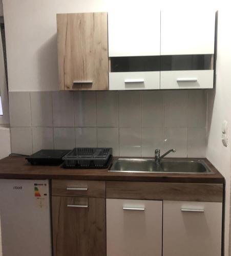 a kitchen with a sink and a counter top at Apartmani Čanj in Čanj