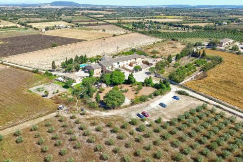 an aerial view of a house with trees in a field at Agroturismo Finca Son Valls - Adults Only in Felanitx
