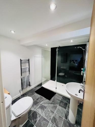 a bathroom with a toilet and a sink and a shower at Unique Modern Studio Apartment in Motherwell