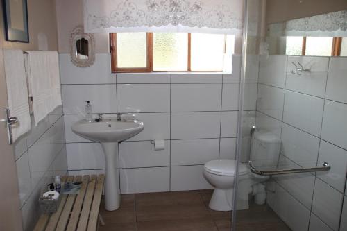 a white bathroom with a toilet and a sink at Potteberg Guest Farm in Malgas