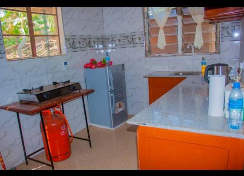 a kitchen with a refrigerator and a counter top at Mama Maya peaceful home in Moshi