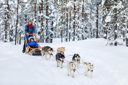 a woman on a sled being pulled by four dogs at L’Aiglon Grand studio familial in Champagny-en-Vanoise