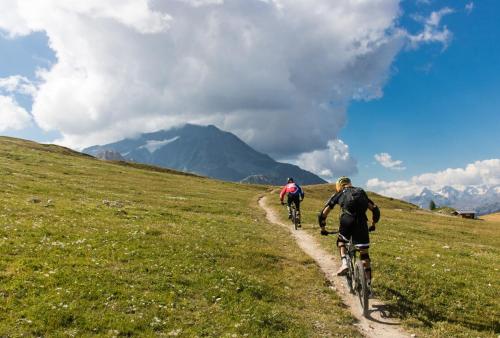 two people riding bikes on a grassy hill at L’Aiglon Grand studio familial in Champagny-en-Vanoise