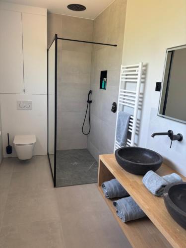 a bathroom with a glass shower and a sink at B and B 46 in Tour-de-Faure