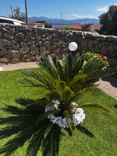 オルビアにあるLa casa di Veronicaの石垣前のヤシの木