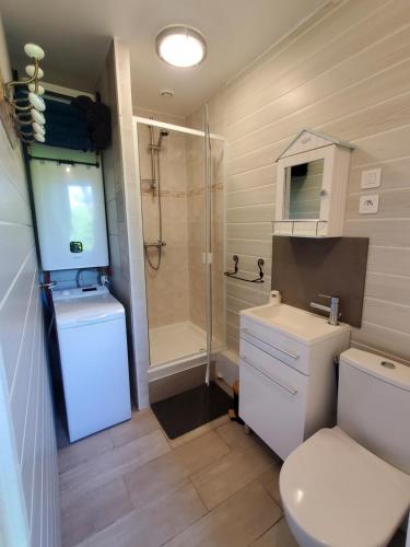 une salle de bain avec une douche, des toilettes et un lavabo dans l'établissement Petite maison proche rivière, à Vouillé-les-Marais