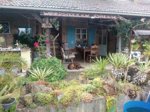 un chien pondant devant une maison dans l'établissement echte plattelandservaring in rust en ruimte, à Serrigny-en-Bresse