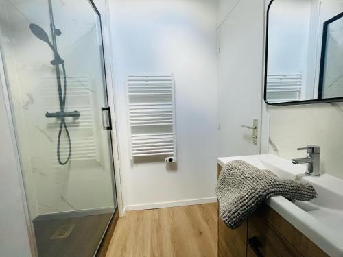 une salle de bain avec un lavabo et une douche dans l'établissement Duplex Beauvoisine - 387, à Rouen