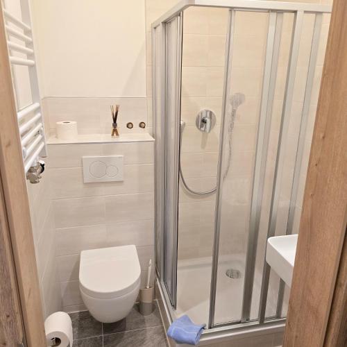 a bathroom with a shower with a toilet and a sink at Pension Märkl Augsburg in Augsburg