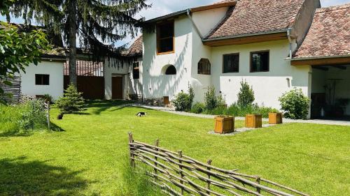 a white house with a fence in the yard at Bed & Wine Transylvania in Nemşa
