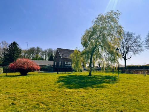 a tree in the middle of a field with a house at Hoeve Molenschot in Molenschot