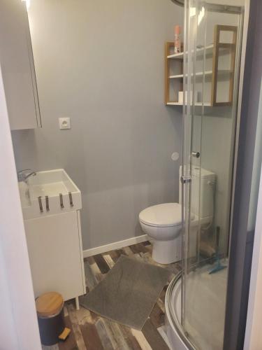 une salle de bain avec toilettes et douche en verre dans l'établissement Chaillot 3, à Saintes
