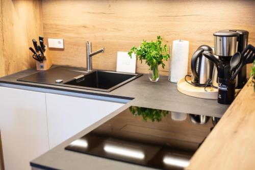 a kitchen with a sink and a counter top at Winkelschiffchen V im Ortszentrum Juist in Juist