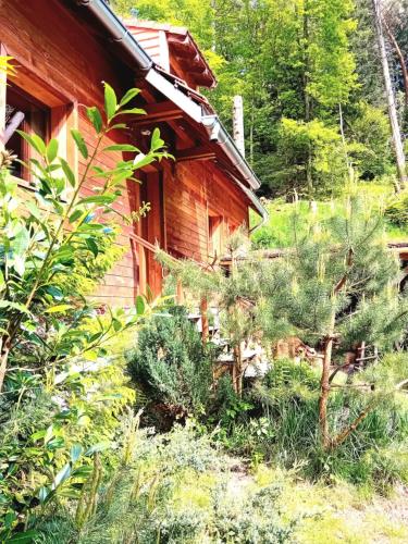 Domaine les lodges nature ,private wellness