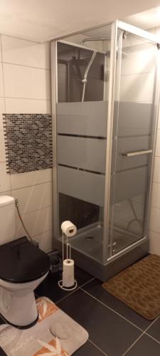 une salle de bain avec une douche en verre et des toilettes dans l'établissement Charmant t2 plein pied, à La Celle-sous-Gouzon