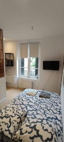 une chambre avec un lit avec une couverture bleue et blanche dans l'établissement Suite Shànghǎi Huā - HyperCentre Rennes - 2 personnes - Second Lodge, à Rennes