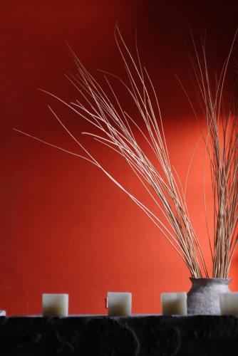 a vase with grass in it next to a red wall at Hotel Iruya in Iruya