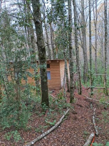 a cabin in the middle of the woods at David el roble in Caburgua