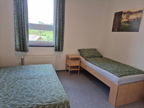 a bedroom with two beds and a window at Penzion U Skokovské báby in Žehrov