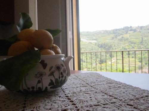 a bowl of oranges sitting on a table next to a window at Agriturismo Turlin in Vallebona