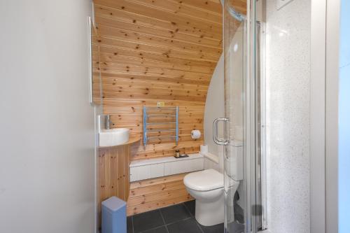 a bathroom with a toilet and a sink and a shower at Ellerbeck Luxury Pod with Hot Tub at Fell View Park Kirkby Lonsdale in Kirkby Lonsdale