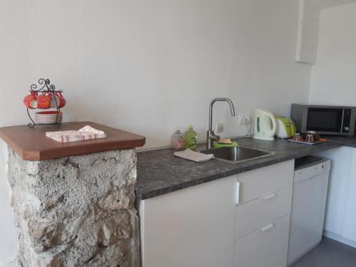 - une cuisine avec un comptoir et un évier dans l'établissement Gite du Paradis, à Belval-sous-Châtillon