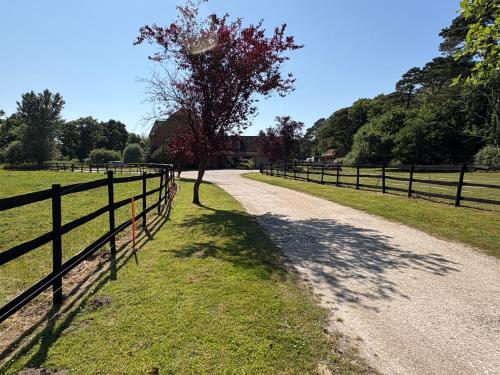 a tree on a dirt road next to a fence at Self Catering Apartment, Jurassic Coast/Dorset in Wareham