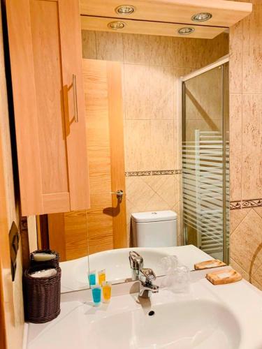 a bathroom with a sink and a toilet at Hostal Restaurante MarRojo Sanabria in Requejo