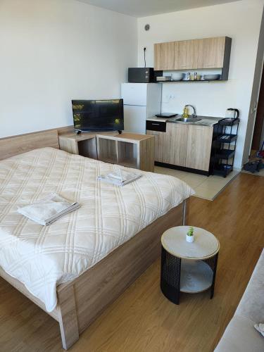 Lovely bright studio on Sunny Beach