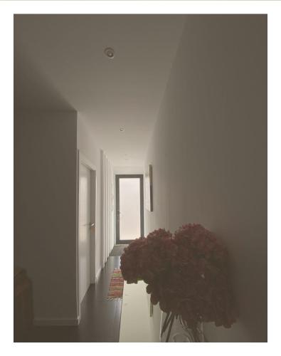 Φωτογραφία από το άλμπουμ του Casa Physalis στην Πόντα Ντελγάδα
